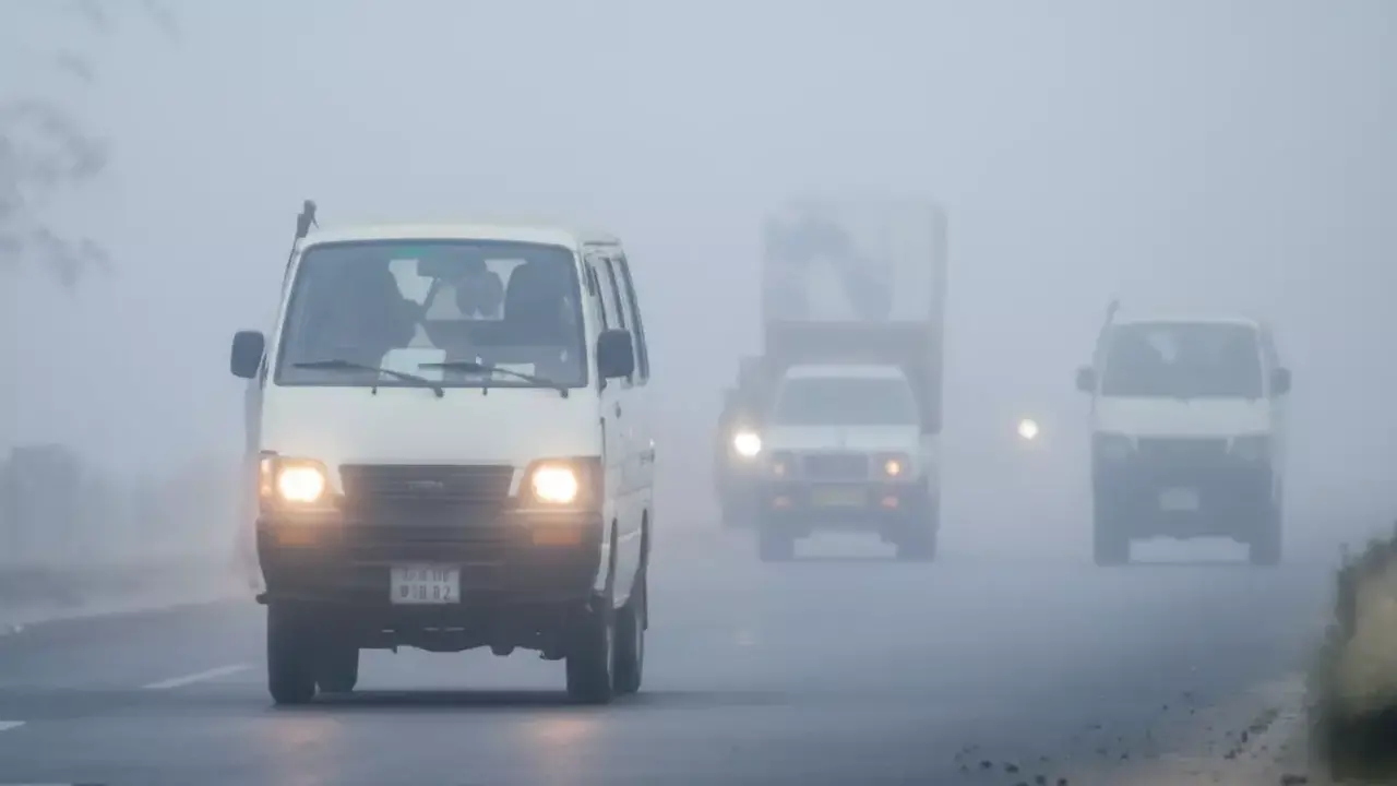 الأرصاد تحذر من شبورة كثيفة تشل حركة الطرق لـ 5 ساعات متواصلة